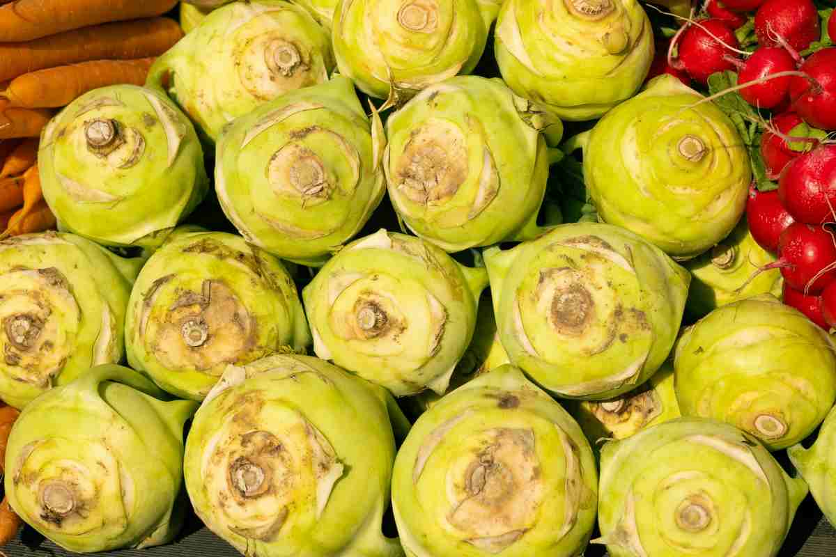 cavolo rapa sul banco del frutta e verdura