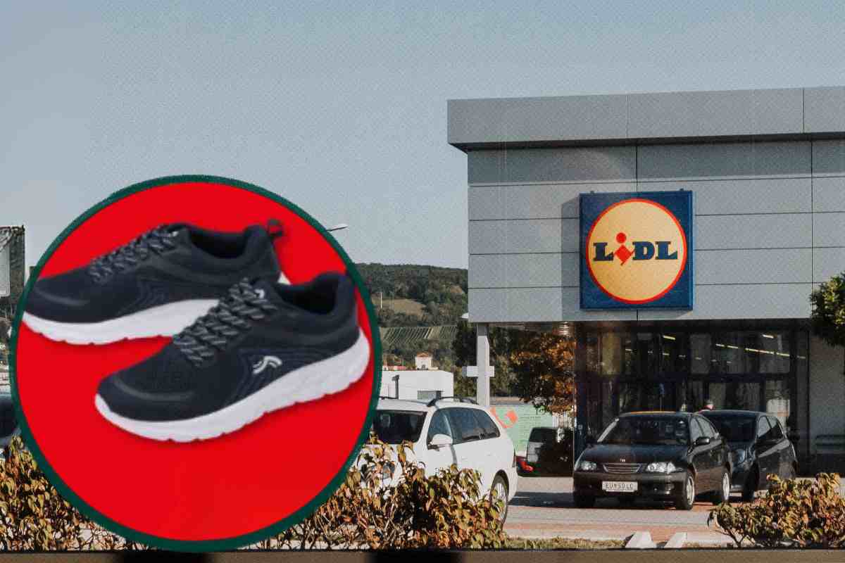 un discount lidl e nel cerchio le sneakers in offerta