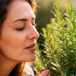 donna annusa pianta di rosmarino